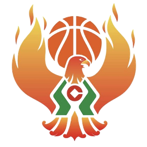 https://img.zssiji.com/img/basketball/team/09b49d34027e0409a4de3295f8c71a2d.png