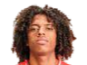 https://img.zssiji.com/img/football/player/135ad8787fd13961a93e165e79e736ff.png