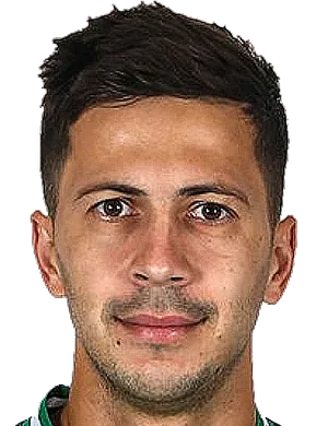 https://img.zssiji.com/img/football/player/a7521cae3d55835286cc258209d1ffee.png