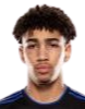 https://img.zssiji.com/img/football/player/fb7fd3390bdc25307ce54843fe6472dd.png