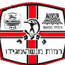 https://img.zssiji.com/img/football/team/1c131552a87c0874134210d0494a7321.png