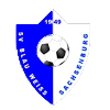 https://img.zssiji.com/img/football/team/1cde488d47b598d2eed91775e6786258.png