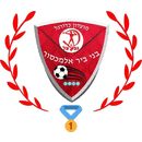 https://img.zssiji.com/img/football/team/201ac939de4032c83ac179342a6c9143.png