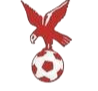 https://img.zssiji.com/img/football/team/4802d26df935b78bb2fcdbbff36e8864.png