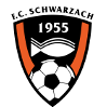 https://img.zssiji.com/img/football/team/488370880779534e48b5b2d5243fb6f6.png