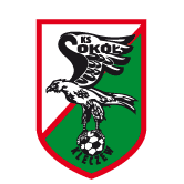 https://img.zssiji.com/img/football/team/e6a8908dd206e2ea02d9803c82c60bba.png