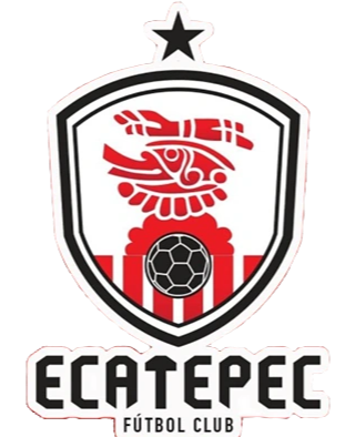 https://img.zssiji.com/img/football/team/f8fefa1062b7f72982263757680421c0.png